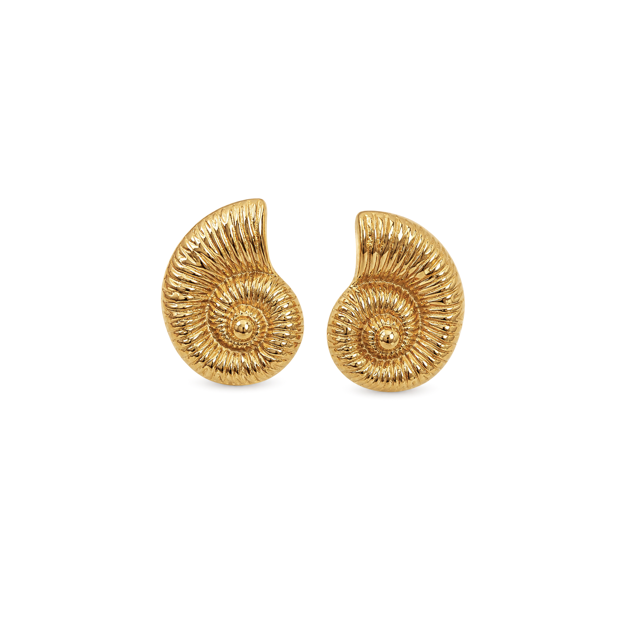 BOUCLES "HONEY SHELL"
