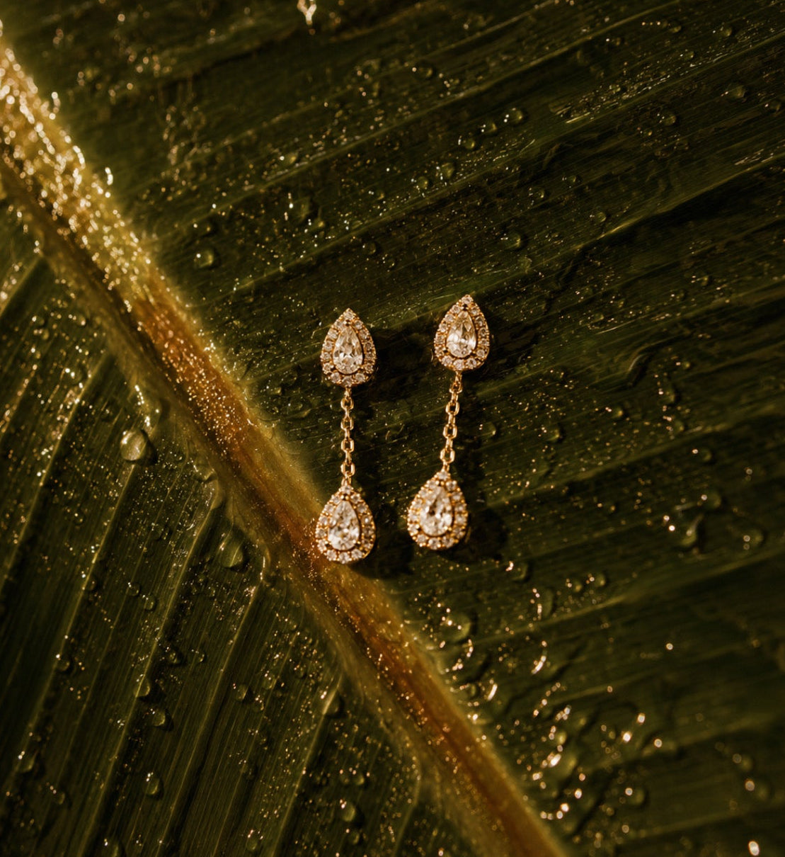 "RAJAY" EARRING