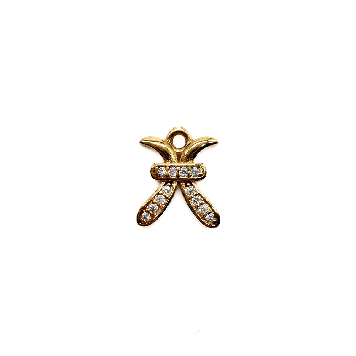 CHARM "SIGNE ASTRO"